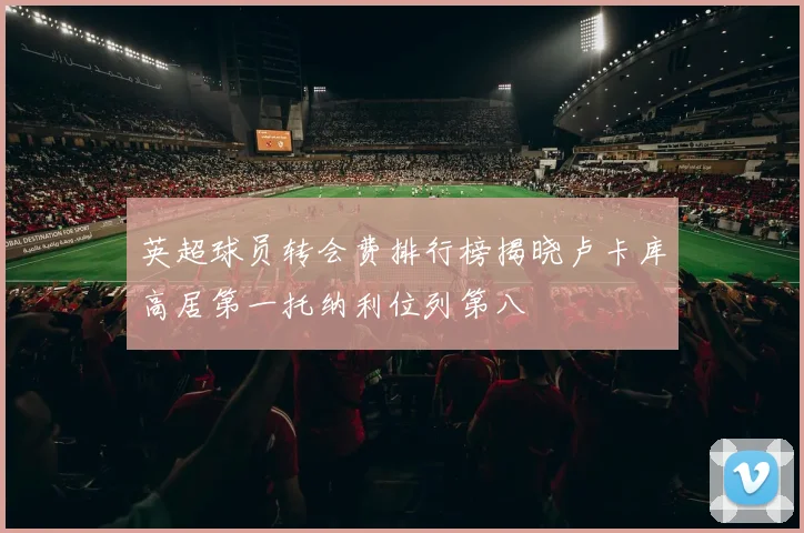 英超球员转会费排行榜揭晓卢卡库高居第一托纳利位列第八